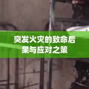 随方就圆