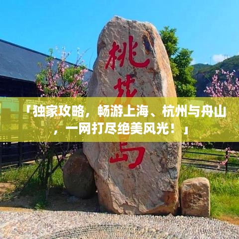 惊弓之鸟
