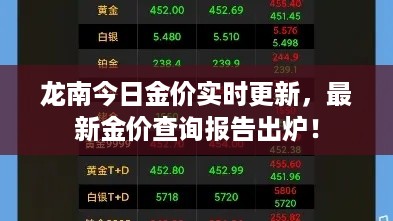 龙南今日金价实时更新，最新金价查询报告出炉！