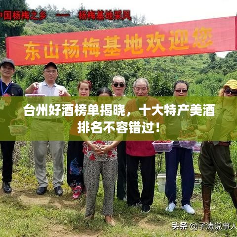 弃文就武