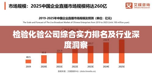 检验化验公司综合实力排名及行业深度洞察