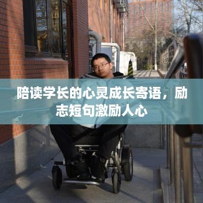陪读学长的心灵成长寄语，励志短句激励人心