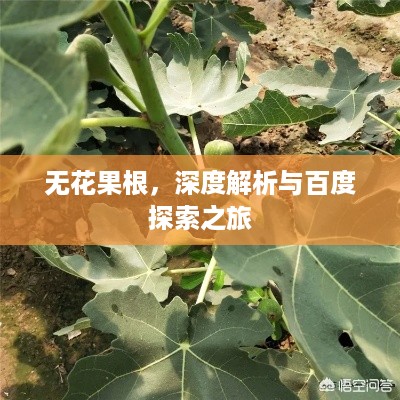 quzhikeshu