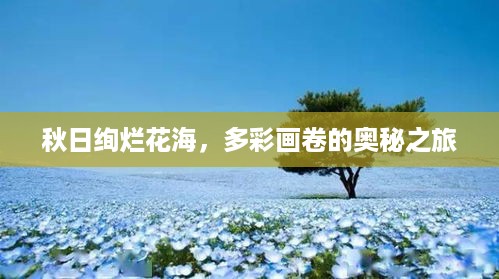 秋日绚烂花海，多彩画卷的奥秘之旅