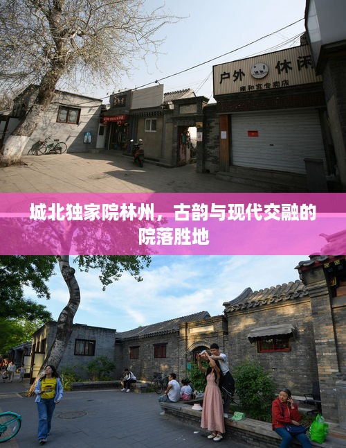 jinshanjinmei