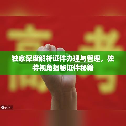 yaowuyinxin