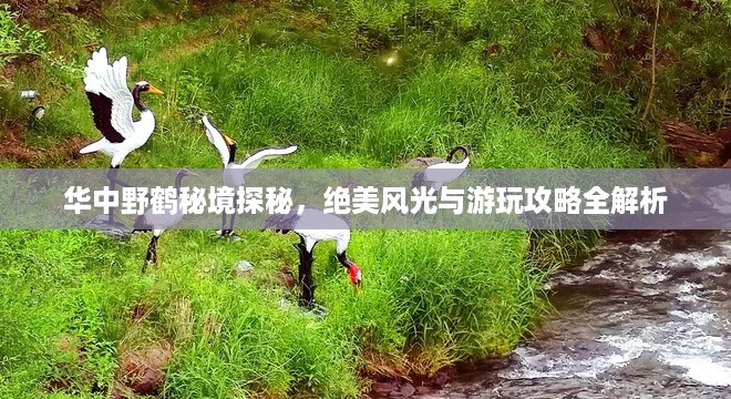 瑞雪飞舞