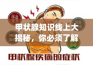 鸡飞狗跳