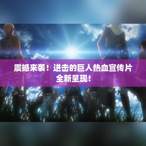 开张圣听