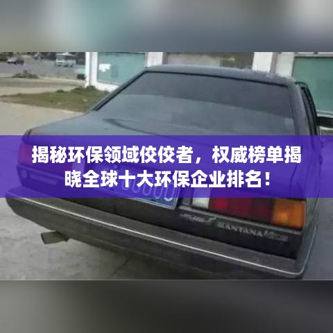 冰清玉洁