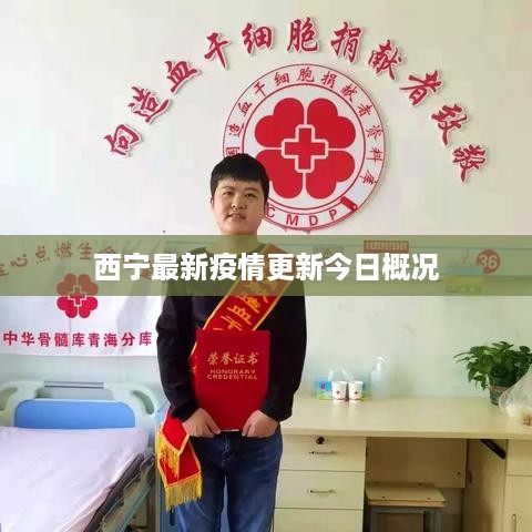 销声匿迹