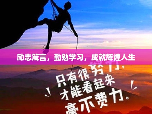 林下风气