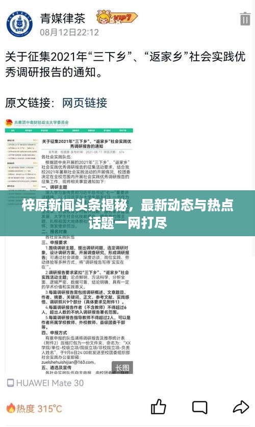 抛砖引玉
