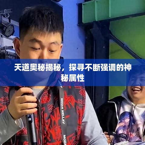 七贵三公