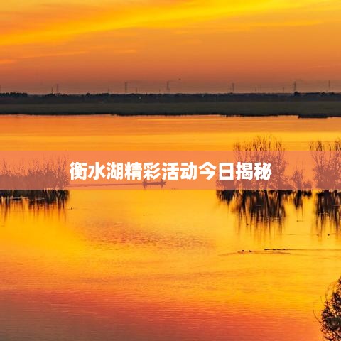 毛手毛脚