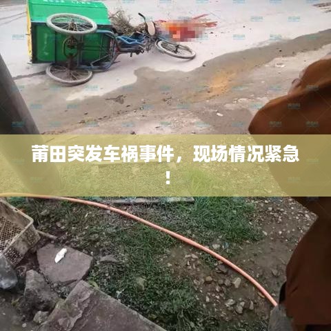 遍地开花