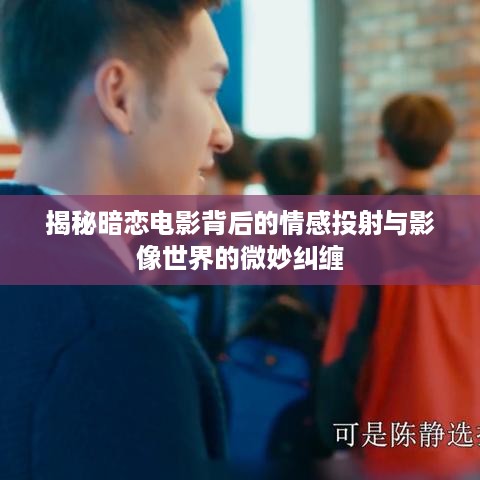 小鸟依人