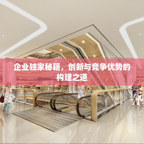 企业独家秘籍，创新与竞争优势的构建之道