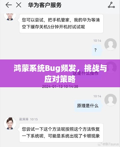 鸿蒙系统Bug频发，挑战与应对策略