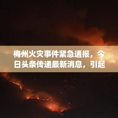 梅州火灾事件紧急通报，今日头条传递最新消息，引起广泛关注