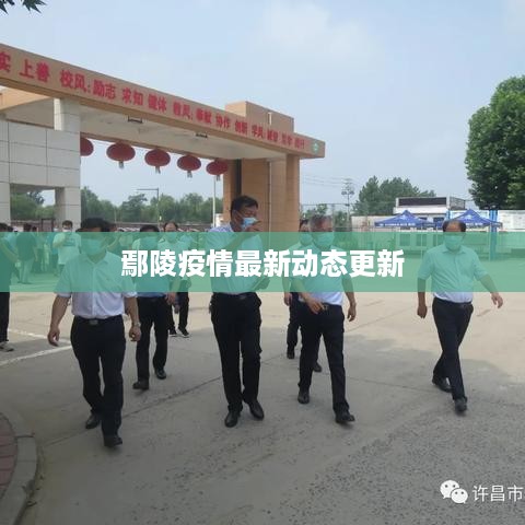 鄢陵疫情最新动态更新