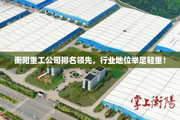 衡阳重工公司排名领先，行业地位举足轻重！