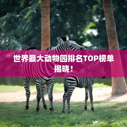 世界最大动物园排名TOP榜单揭晓！