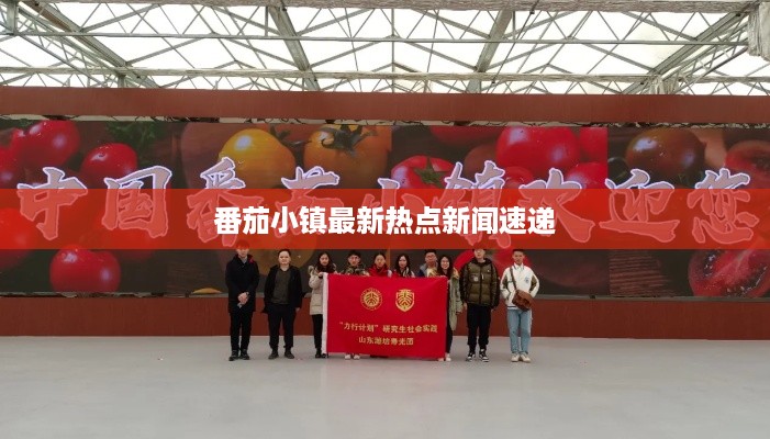 番茄小镇最新热点新闻速递