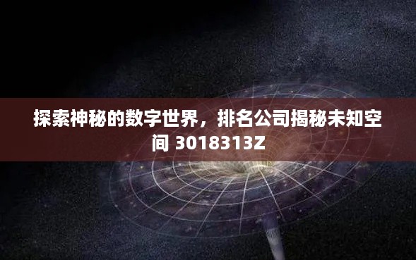 探索神秘的数字世界，排名公司揭秘未知空间 3018313Z
