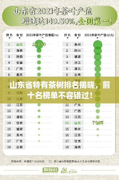 山东省特有茶树排名揭晓，前十名榜单不容错过！