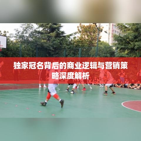 独家冠名背后的商业逻辑与营销策略深度解析