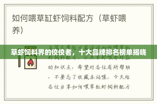草虾饲料界的佼佼者，十大品牌排名榜单揭晓
