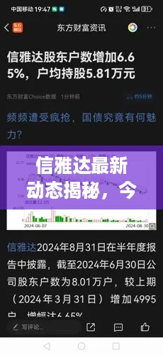 信雅达最新动态揭秘，今日消息全面解读
